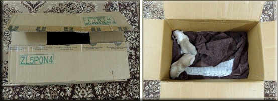 Devna Arora - Box for housing new borns